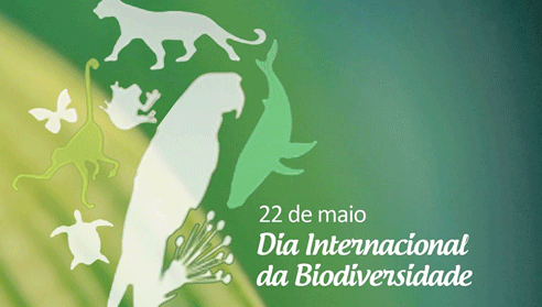 img 2017 dia biodiversidade